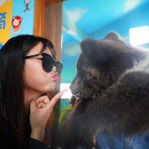 春游之際，臨泉魔幻動物園與您有個約“惠”