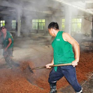 喚醒兩千余條窖池，新的釀酒季由此開始