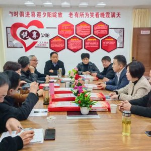 鹿城鎮(zhèn)老年協(xié)會(huì)學(xué)習(xí)宣傳貫徹黨的二十大精神，結(jié)合實(shí)際做好自身工作討論會(huì)召開