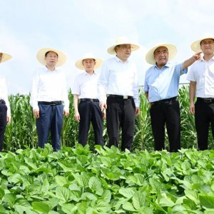 梁言順在阜陽市調(diào)研時強(qiáng)調(diào) 堅(jiān)持多種糧種好糧全力保障國家糧食安全 加快皖北地區(qū)全面振興步伐 ...